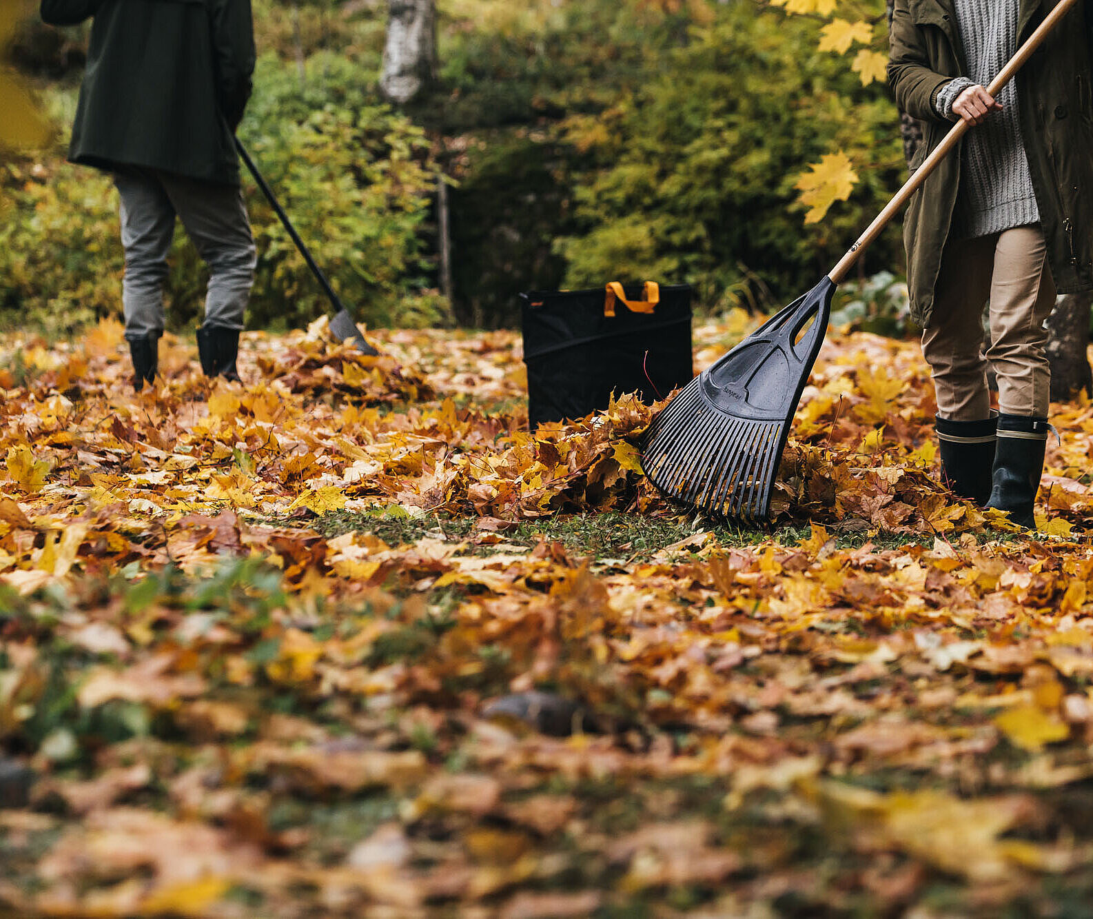 Warum Ihr Garten im Herbst etwas Unordnung braucht